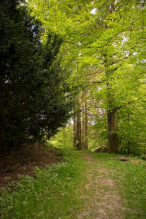 App 622 Panoramic Hohegeiß mit WLan Terrassenhaus